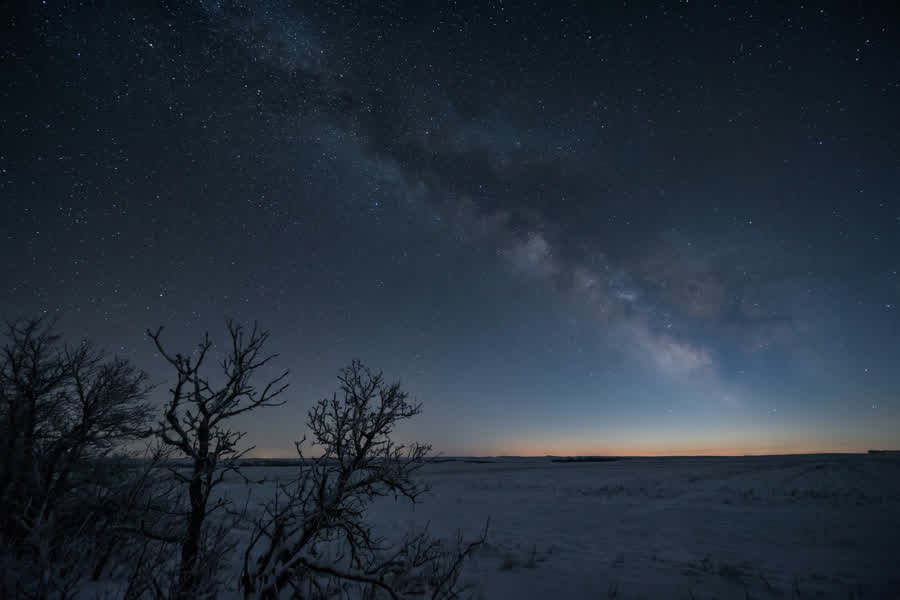 Un campo nevado de noche bajo la Vía Láctea, con arbustos secos recortados contra el cielo